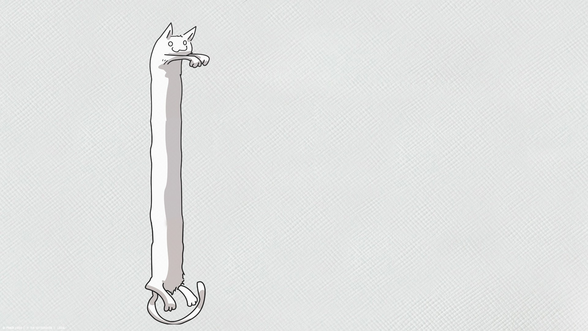 long cat illustration