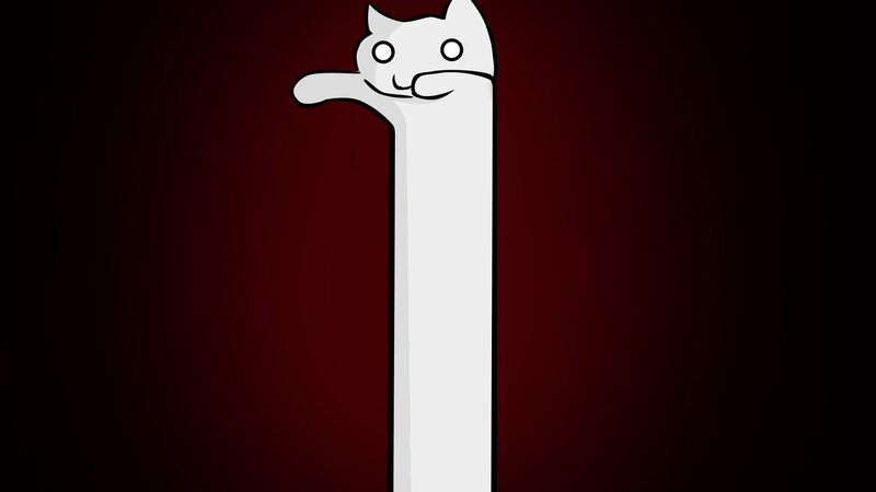 long cat meme