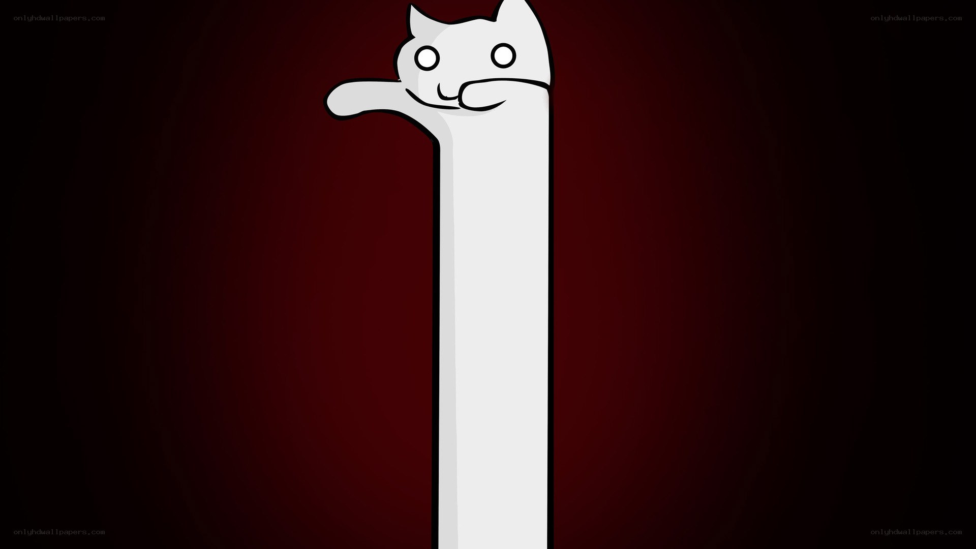long cat meme