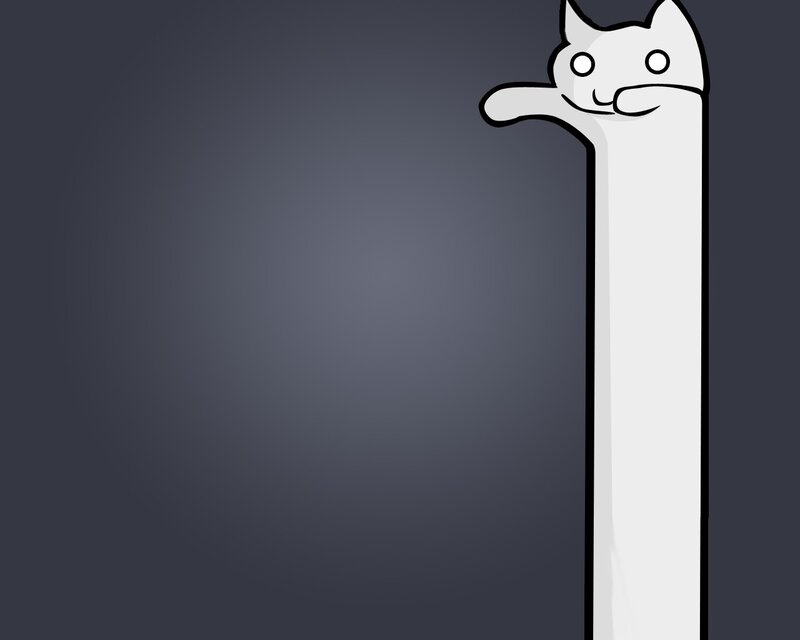 long cat meme