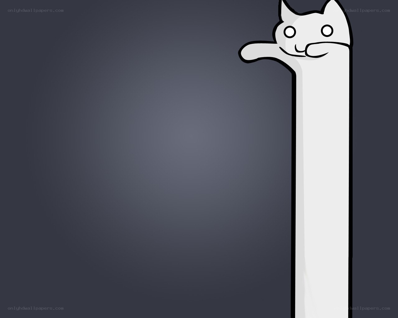long cat meme