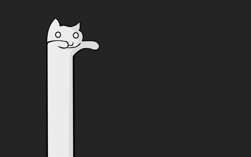 long cat peeking from corner