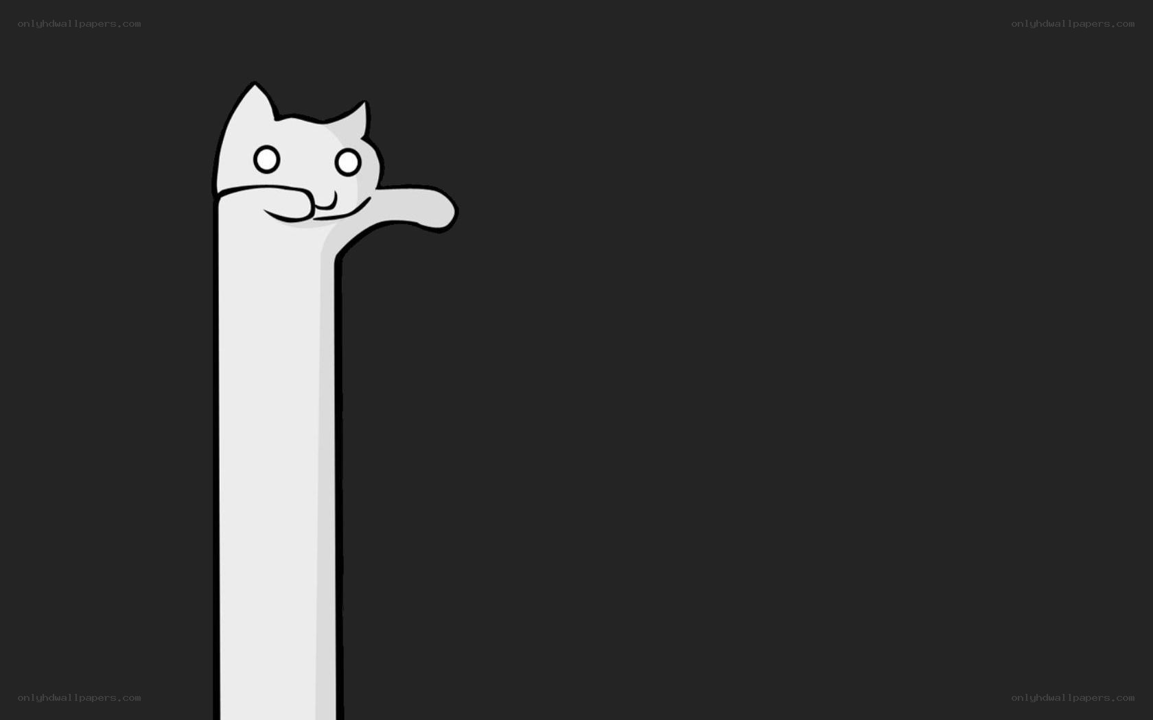 long cat peeking from corner