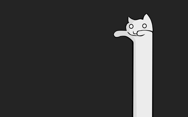 long cat peeking from right