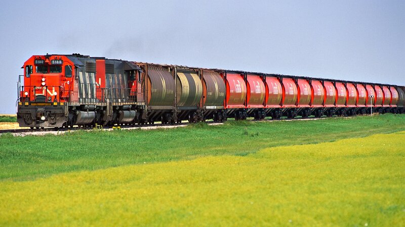 long freight train in field