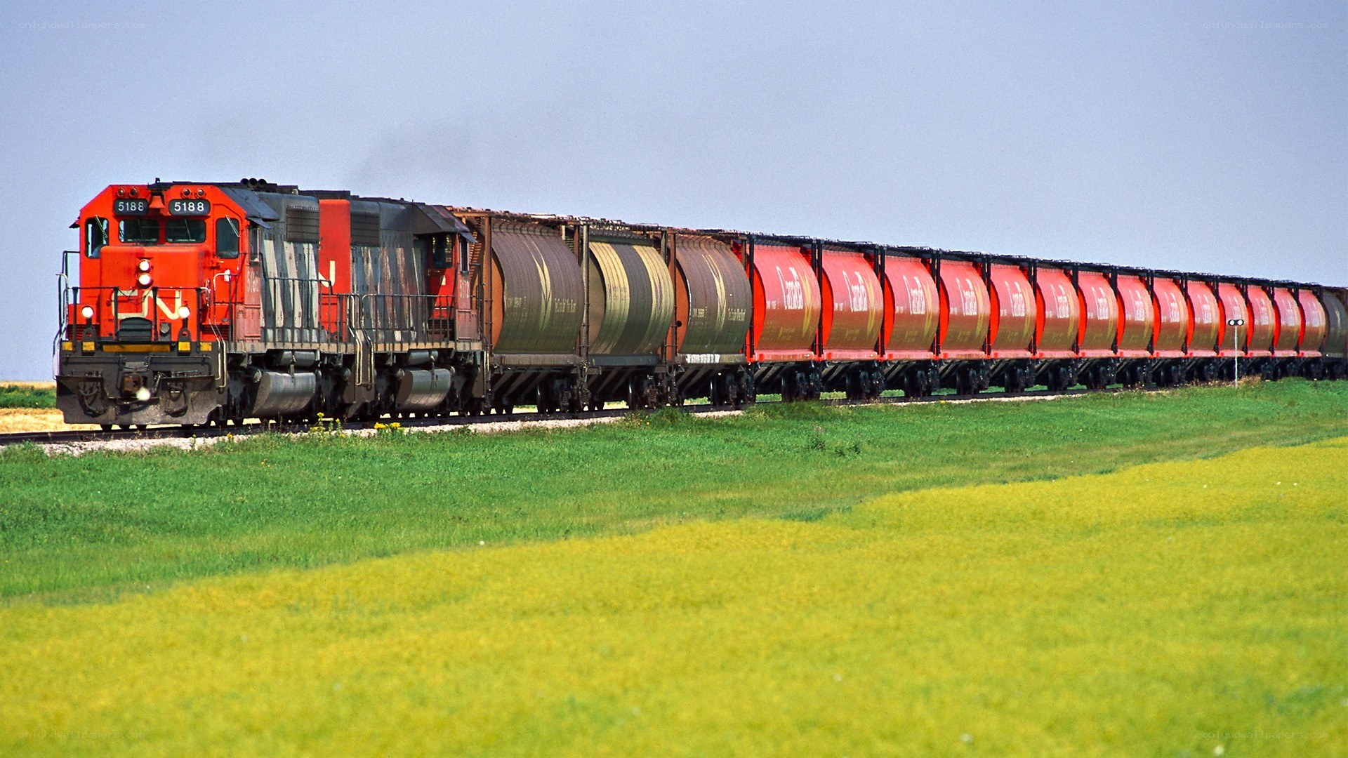 long freight train in field