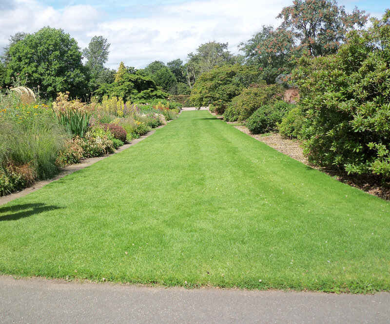 Long Green Lawn