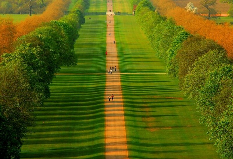 Long green lawn with people