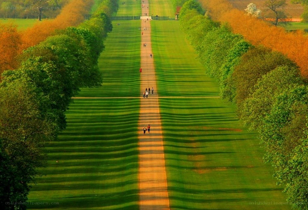 Long green lawn with people