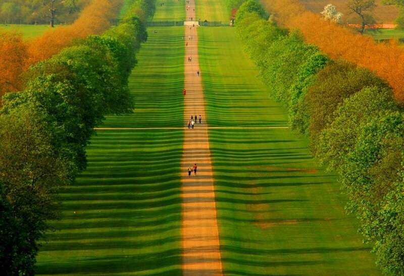 Long green lawn with people