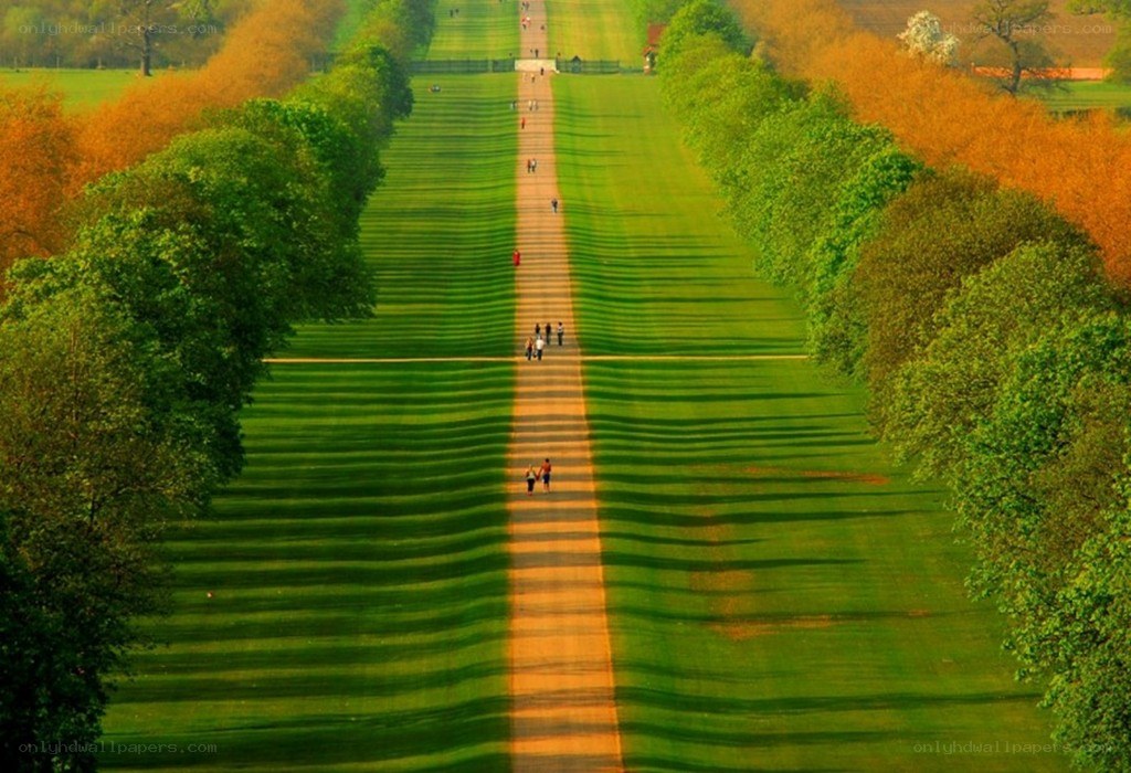 Long green lawn with people