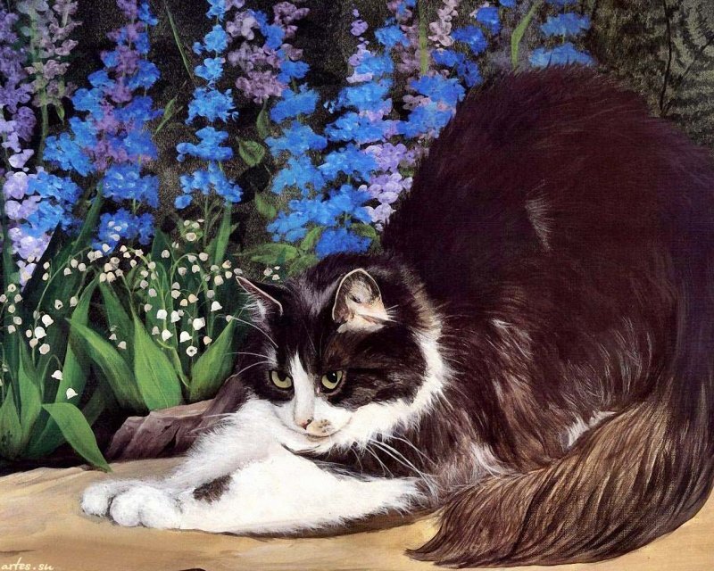 Long-haired Cat in Flowers — Brown