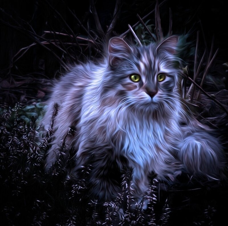 Long-haired Cat in Foliage