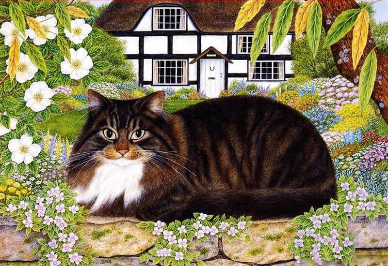 Long-haired Cat in Garden — Brown, Serene, Spring