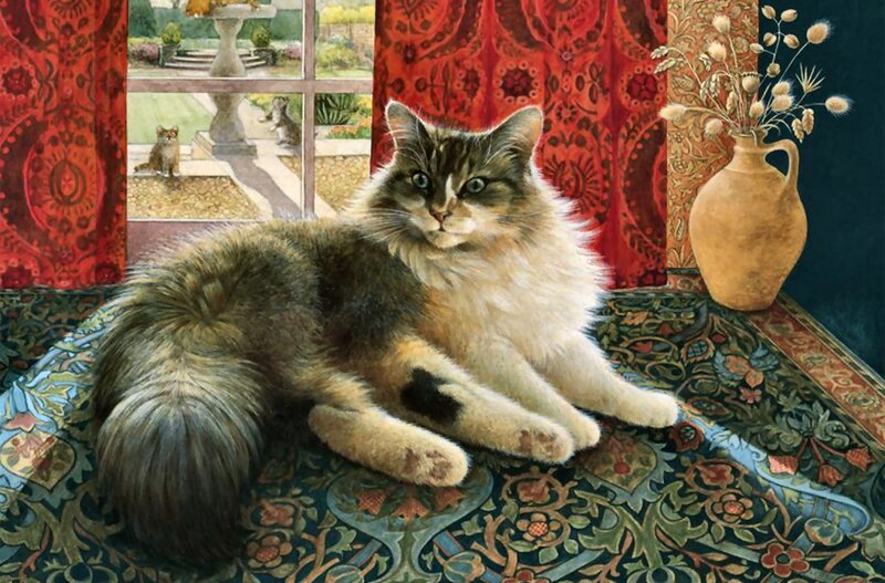Long-haired Cat on Rug