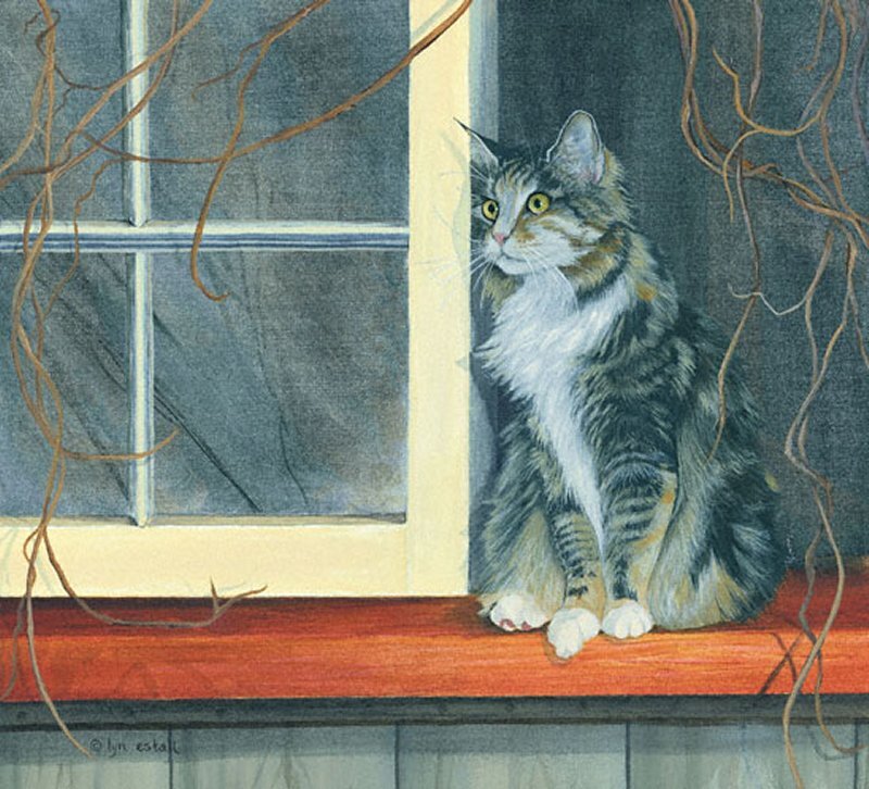 Long-haired Cat on Windowsill