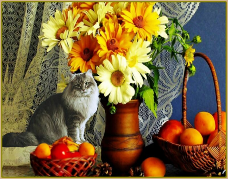 Long-haired Cat with Flowers — Yellow