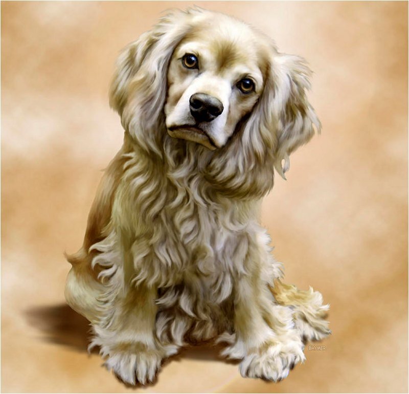 Long-haired Dog Sitting — Beige