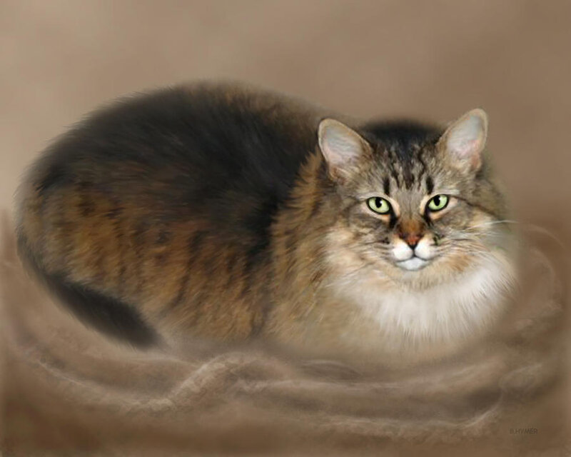 Long-haired Tabby Cat — Brown, Calm, Digital Art