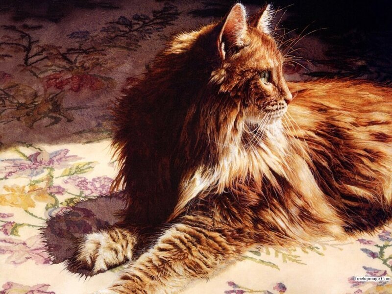 Long-haired Tabby Cat — Brown, Calm, Painting