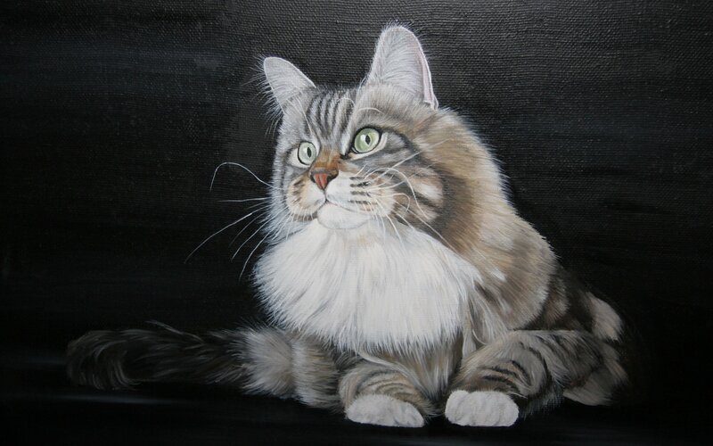 Long-haired Tabby Cat — Gray, Calm, Painting, Whiskers