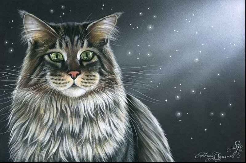 Long-haired Tabby Cat — Gray, Serene