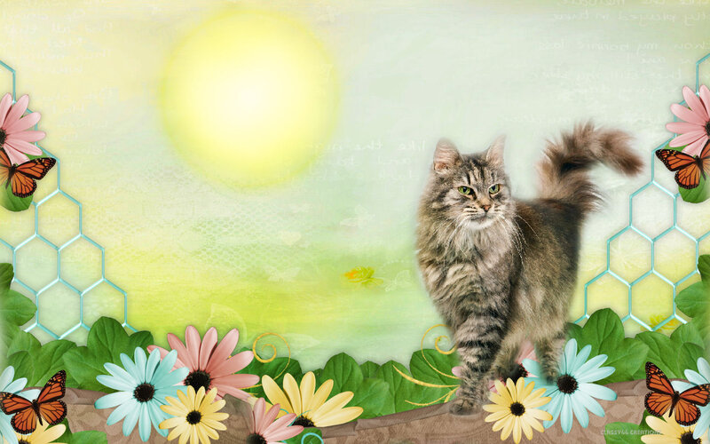 Long-haired Tabby Cat — Green, Serene