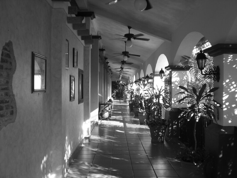 long hallway with arches and plants