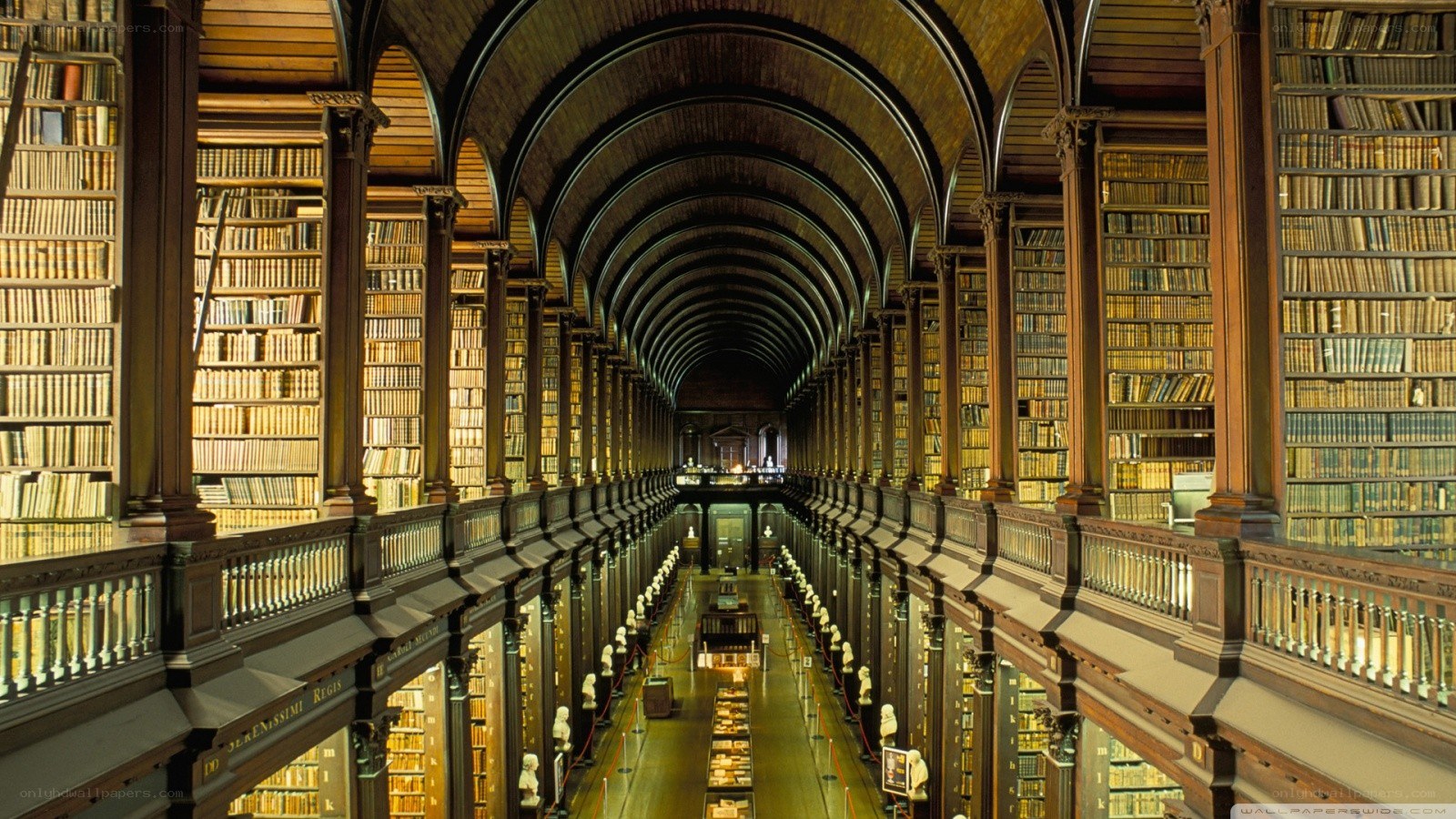 Long library hall with bookshelves