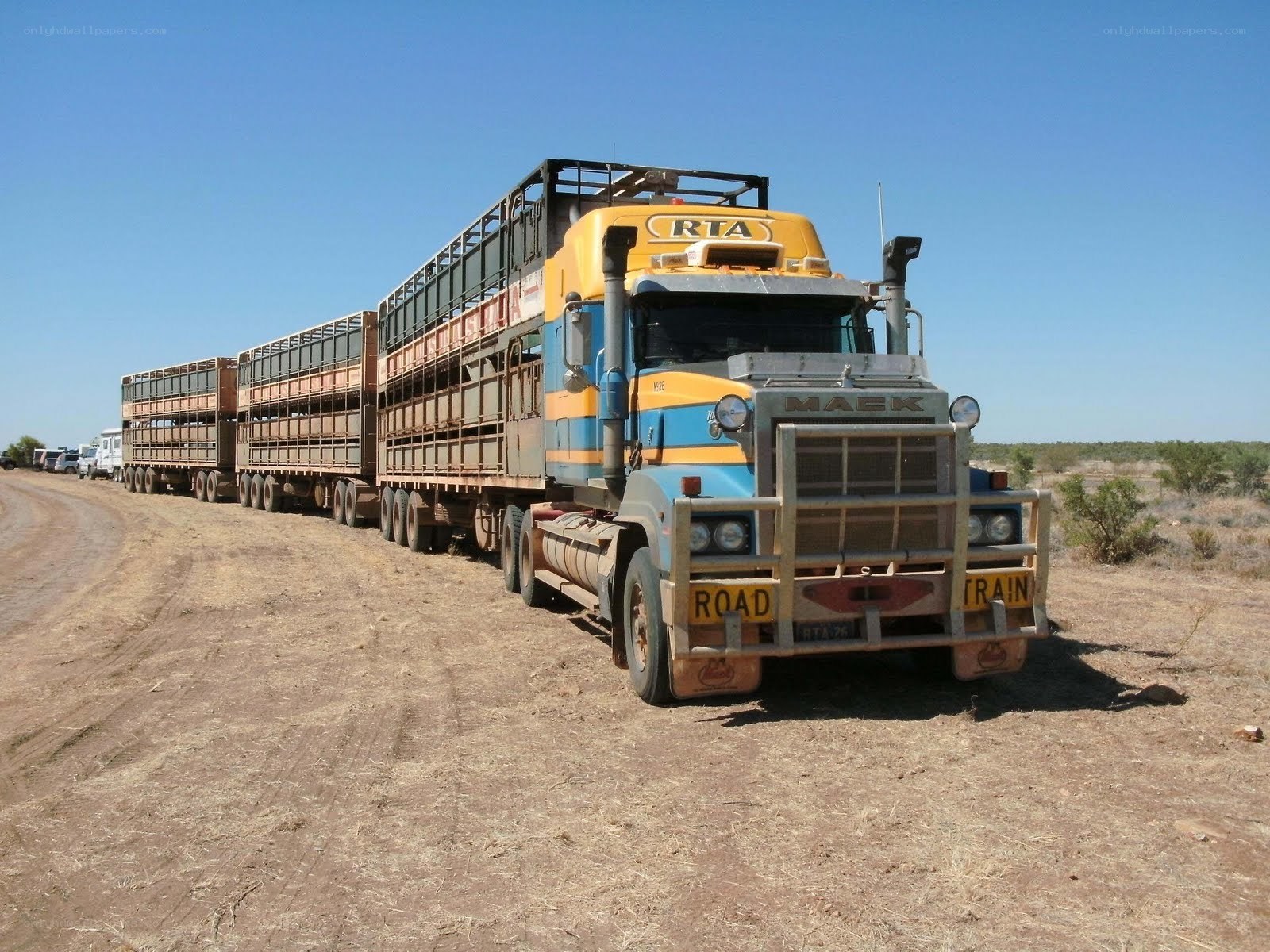 Long livestock truck convoy