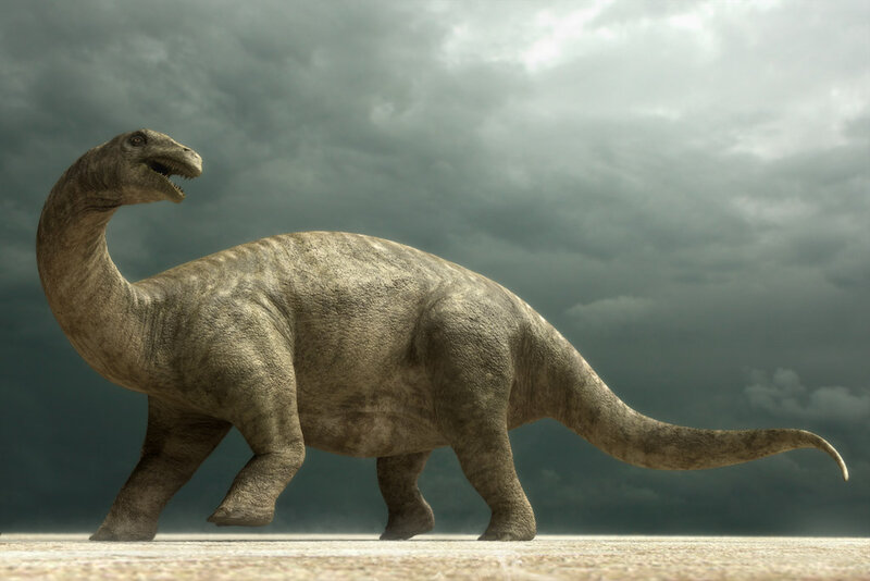 Long-necked Dinosaur — Gray