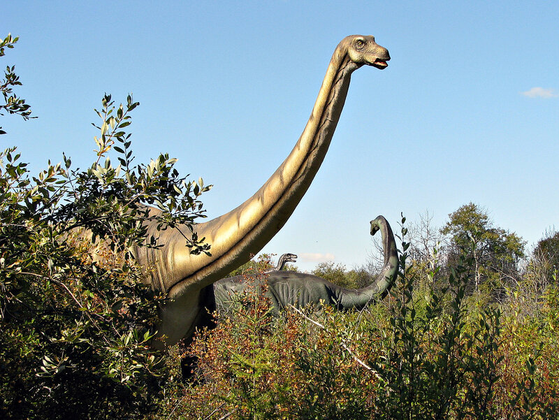 Long-necked Dinosaur Statues