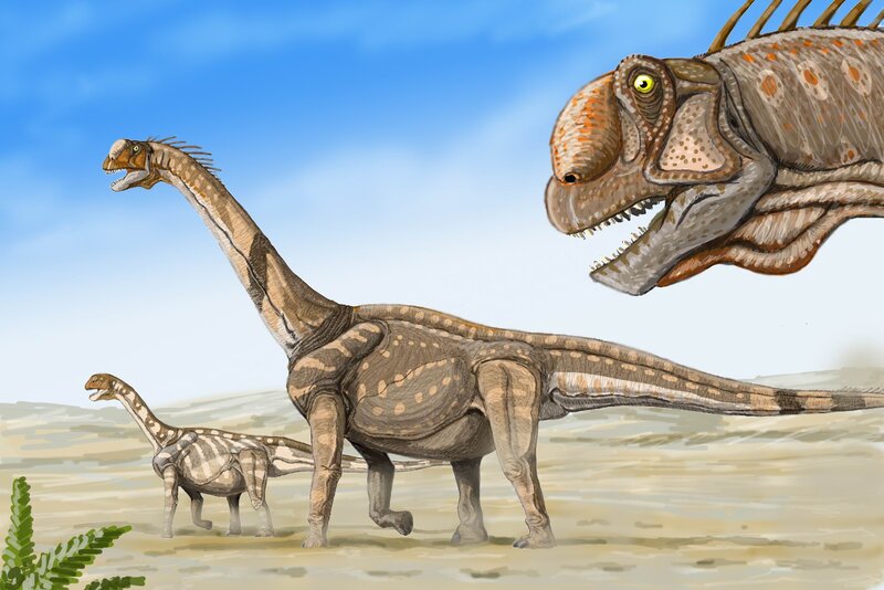 Long-necked Dinosaurs