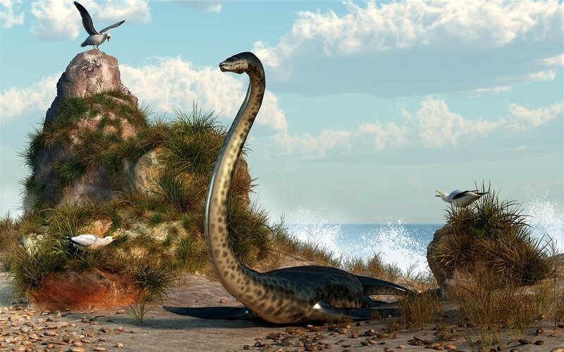 Long-necked Marine Reptile — Blue