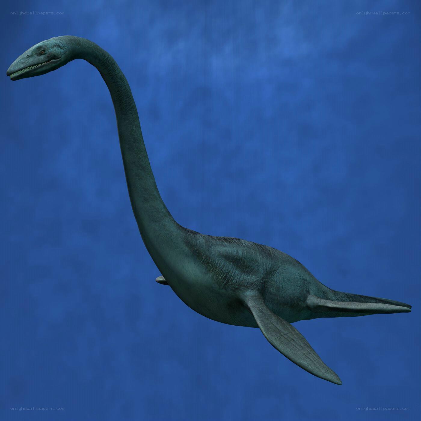 long-necked marine reptile