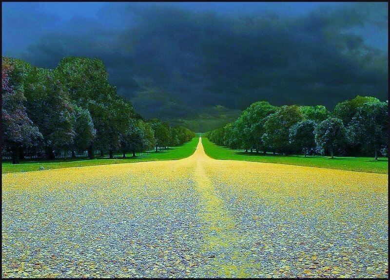 Long path under dark sky