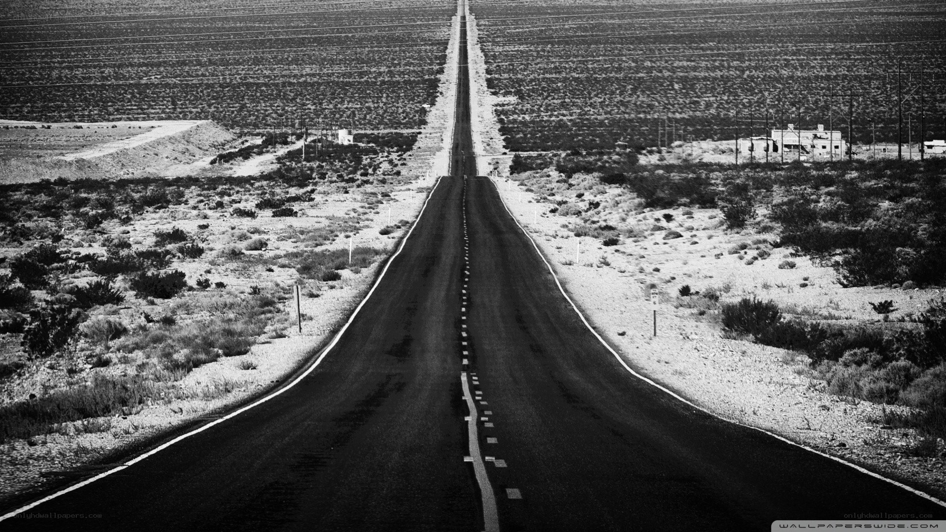long road in desert landscape
