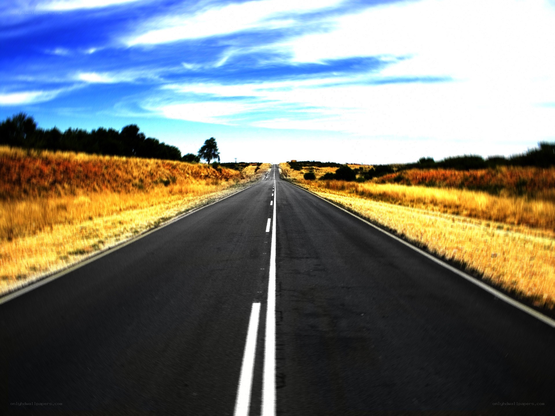 Long road stretching into horizon