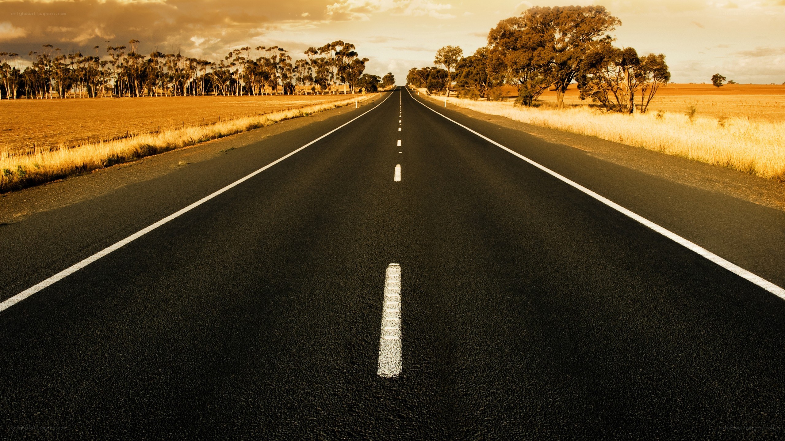 Long road stretching into the horizon