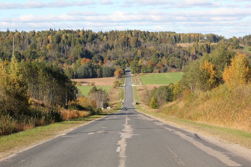 Long Road Through Autumn Forest — Green