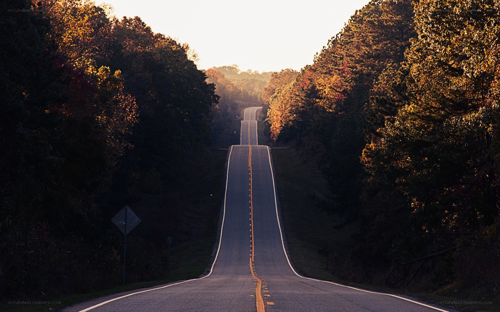 Long road through autumn forest