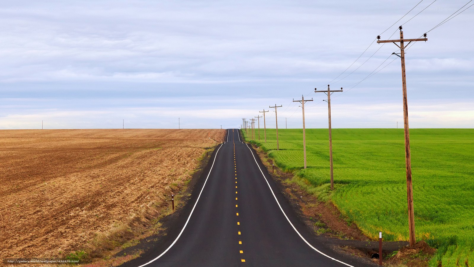 Long road through farmland
