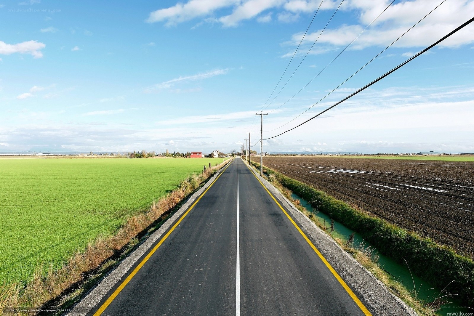 Long road through farmland