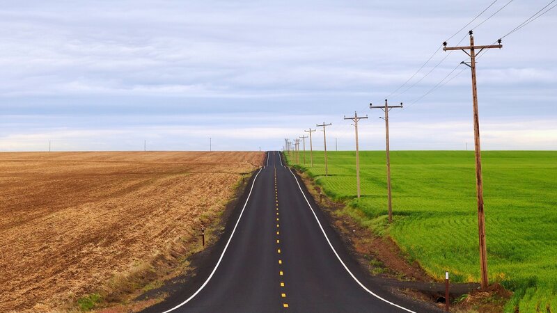 Long Road Through Fields — Green, Serene, Afternoon
