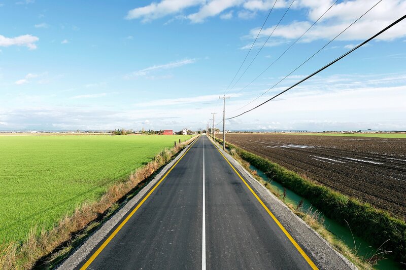 Long Road Through Fields — Green, Serene