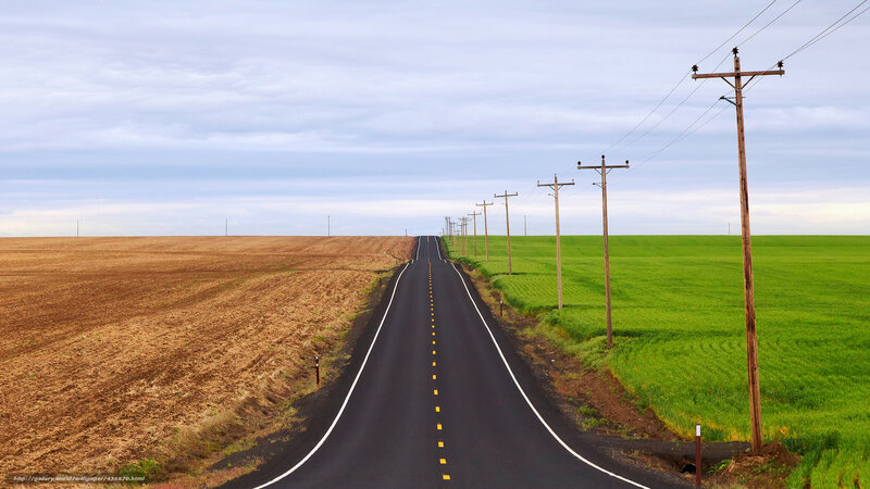 Long Road Through Fields — Green