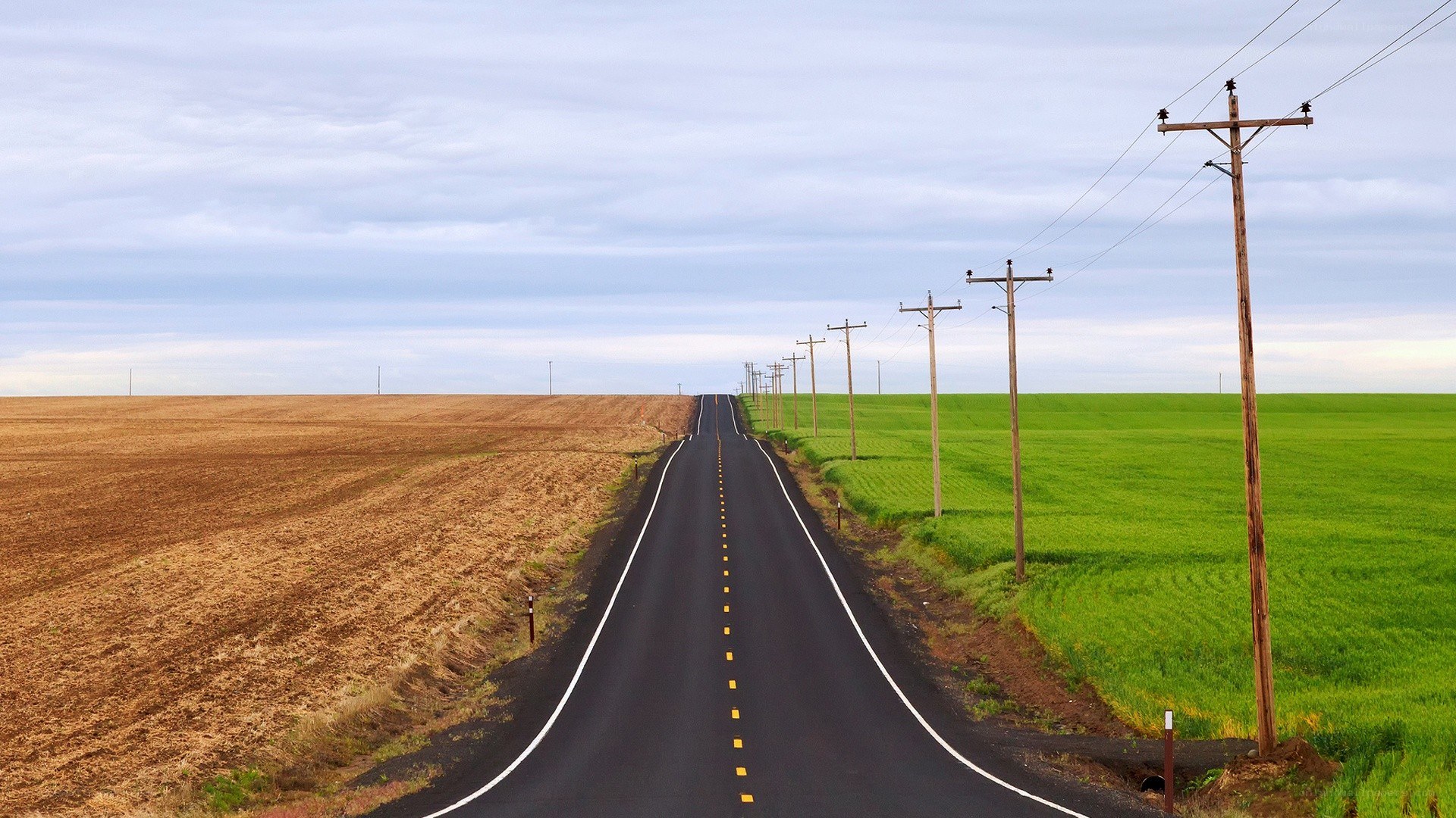 Long road through fields