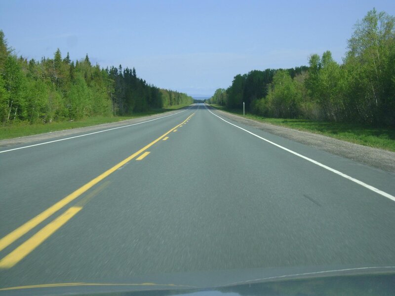 Long Road Through Forest — Green