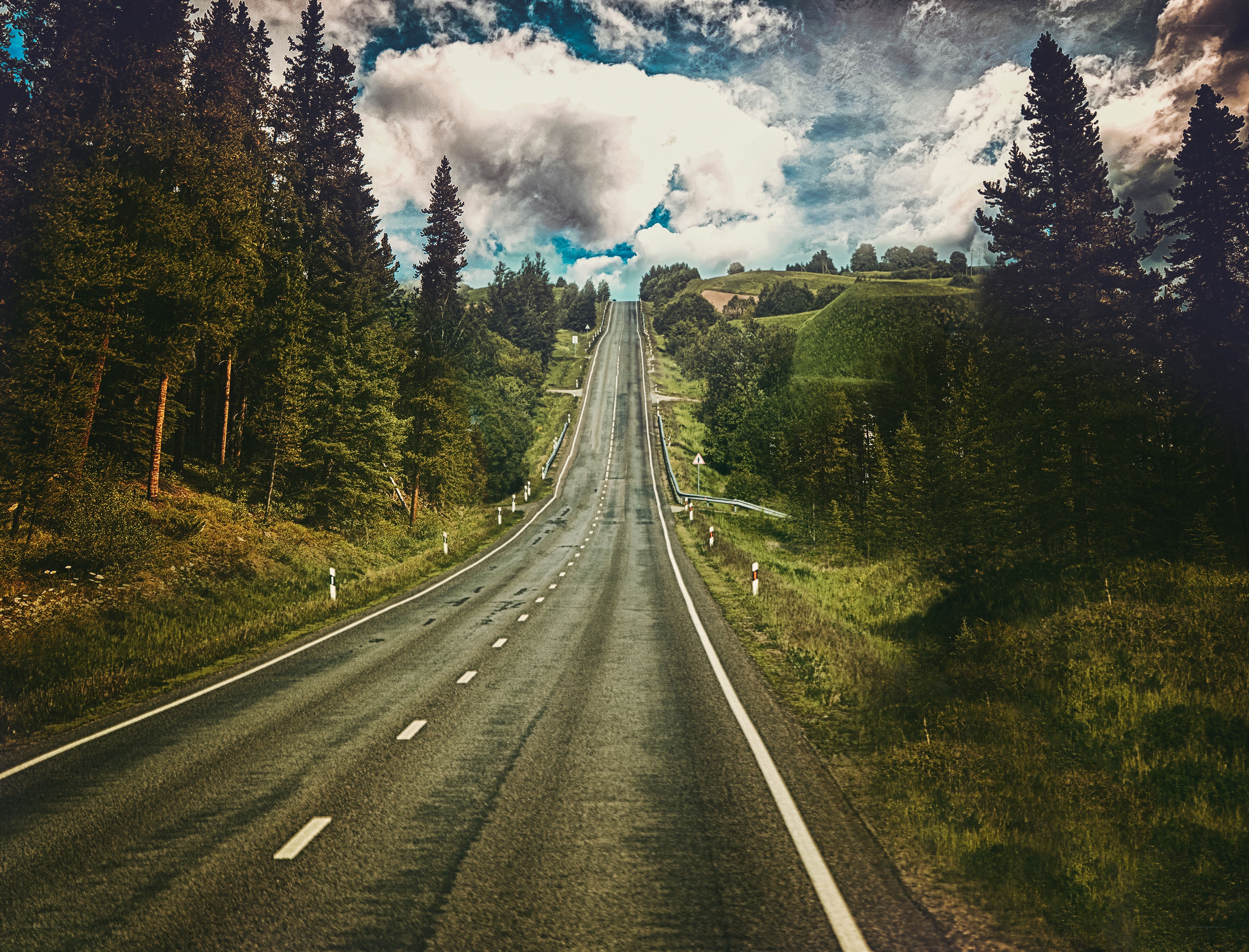 Long road through forest hills