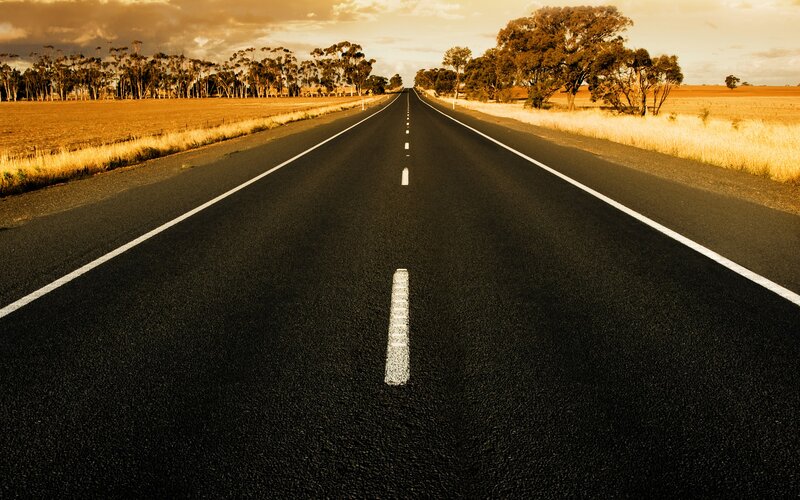 Long road through golden fields